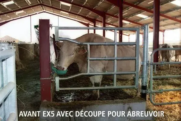 Achat Immédiat Avant EX5 avec découpe pour abreuvoir BA5036