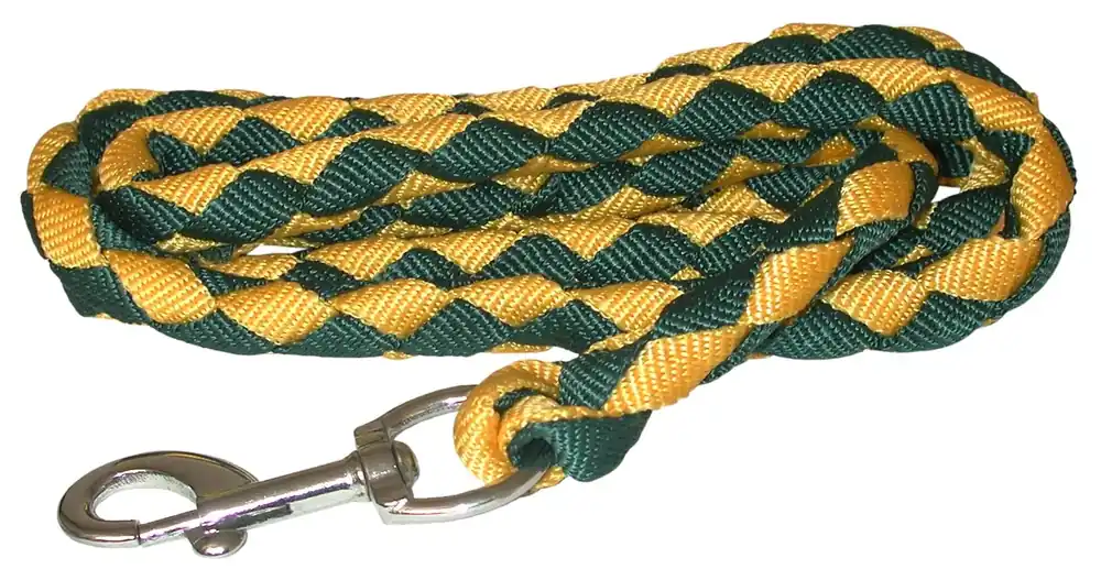 Promotion Saisonnière Longe bi-couleur 2m Vert/Jaune